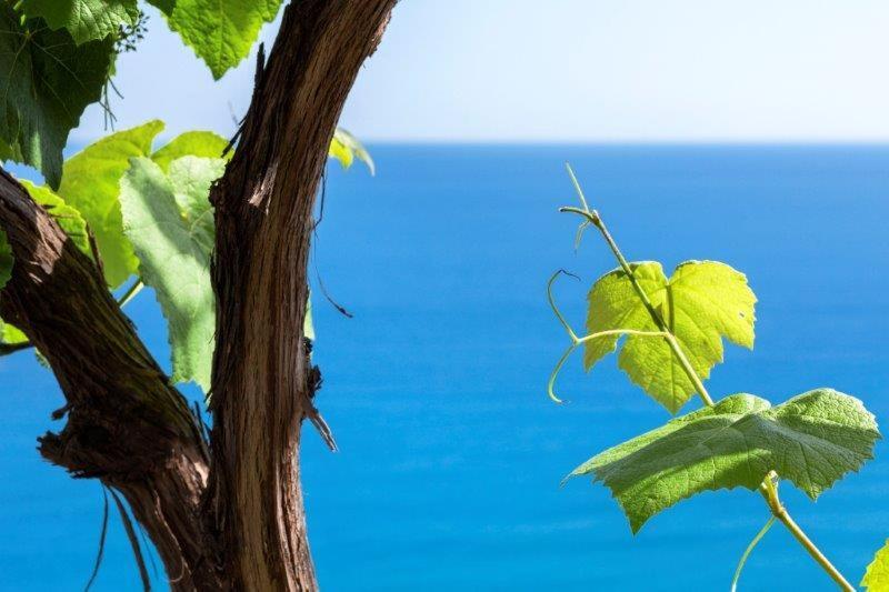 Agriturismo La Selva Hotel Finale Ligure Exterior photo