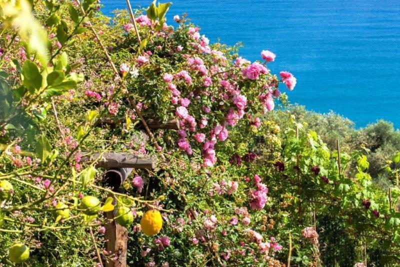Agriturismo La Selva Hotel Finale Ligure Exterior photo