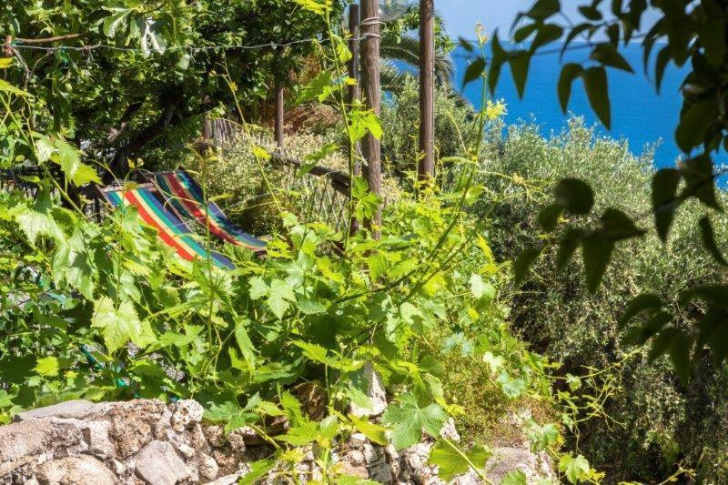 Agriturismo La Selva Hotel Finale Ligure Exterior photo